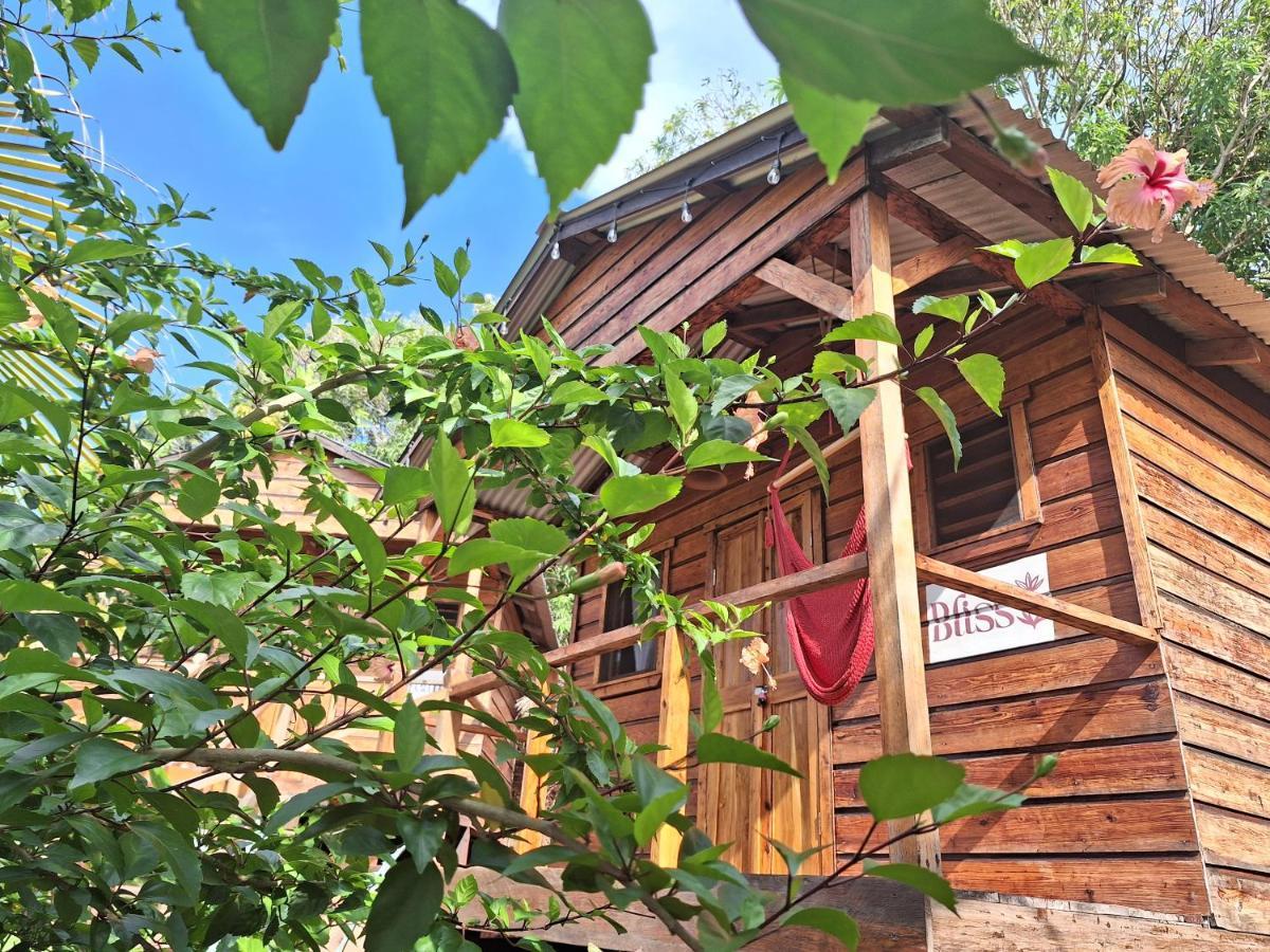The Lighthouse Retreat, Little Corn Island, Nicaragua Hotell Exteriör bild